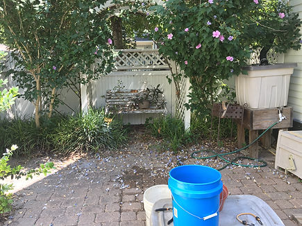 Patio before.jpeg