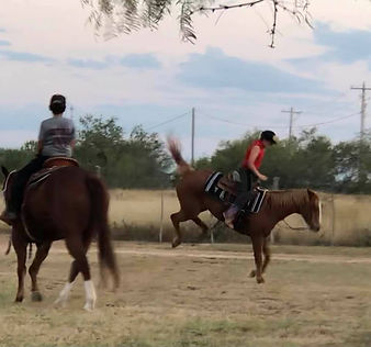 Bubba n Garrett n horses.jpg
