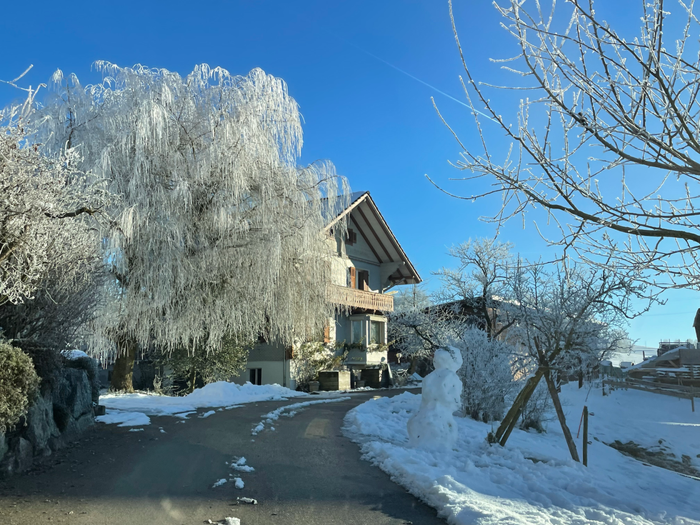 Wohnhaus mit Weide im Winter
