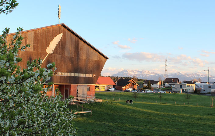Bild vom Hof. Im Hintergrund Berge und vorne Kühe am Weiden.
