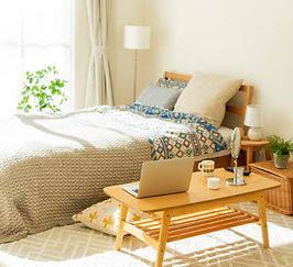 Generic Bedroom