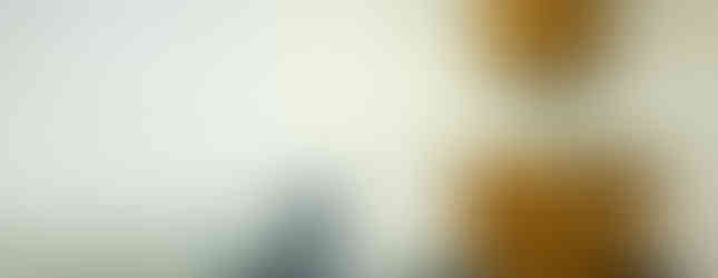 Available office space East Stroudsburg, 175 East Brown Street, suite 204 meeting room