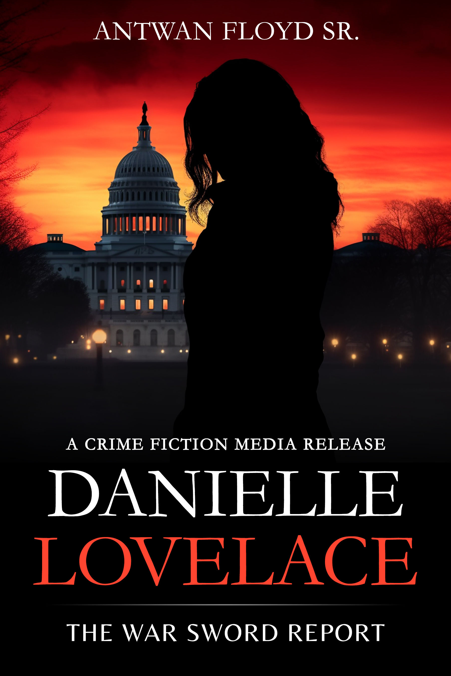 Danielle Lovelace "The War Sword Report"