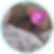 com_23img_19_2.png