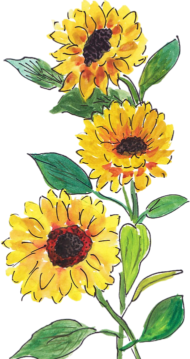 SUNFLOWER_edited_edited.png