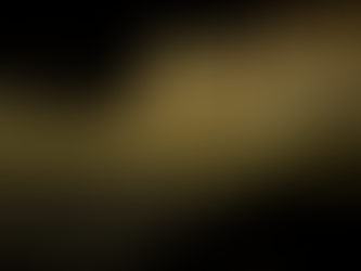 Website Update: Exciting Enhancements and What’s Ahead