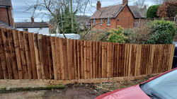 Feather Edge Fencing