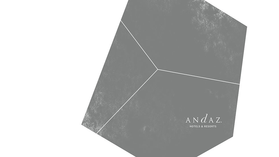OM_BRAND_ANDAZ_D3_2019_06_19-01.jpg