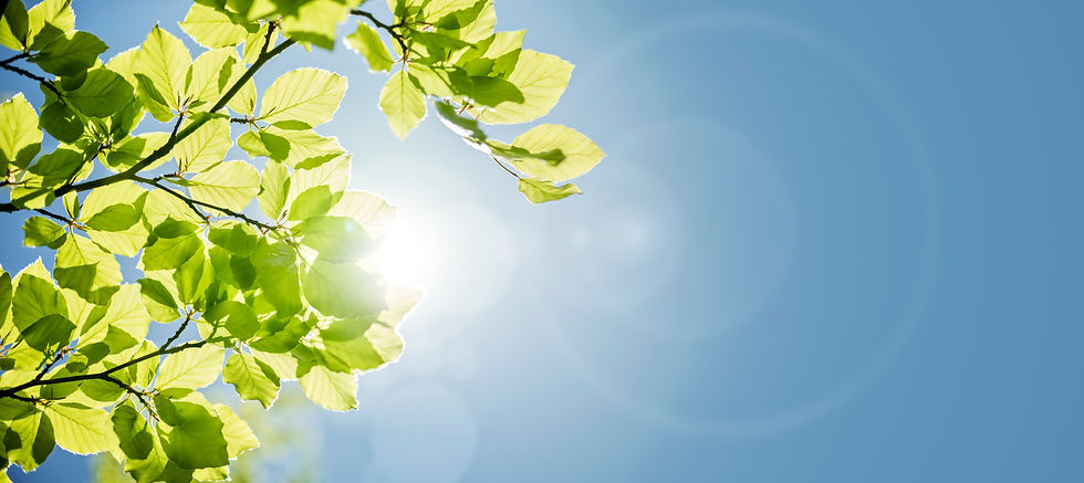iStock-646559092.jpg
