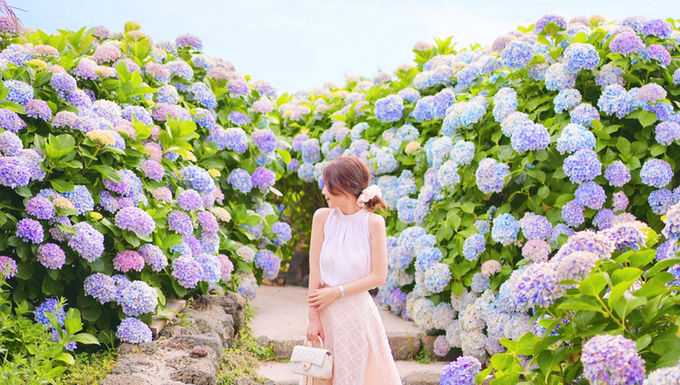 The Delicate Tulle Skirt