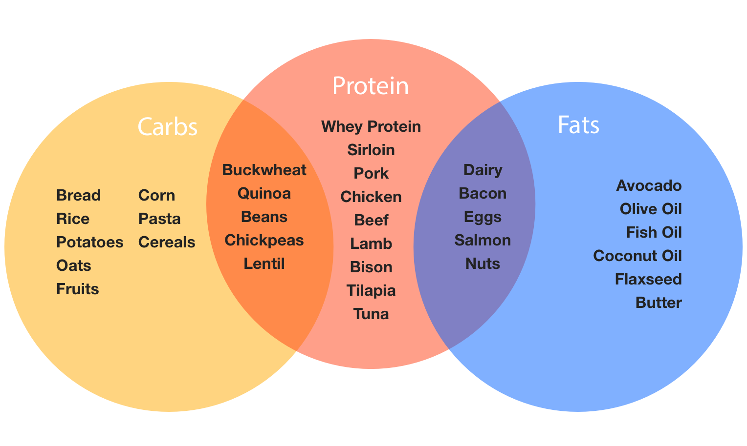 mass vs weight venn diagram koziy thelinebreaker co mass and weight venn diagram