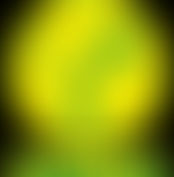 ¿TODOS LOS VINOS SON VEGANOS?