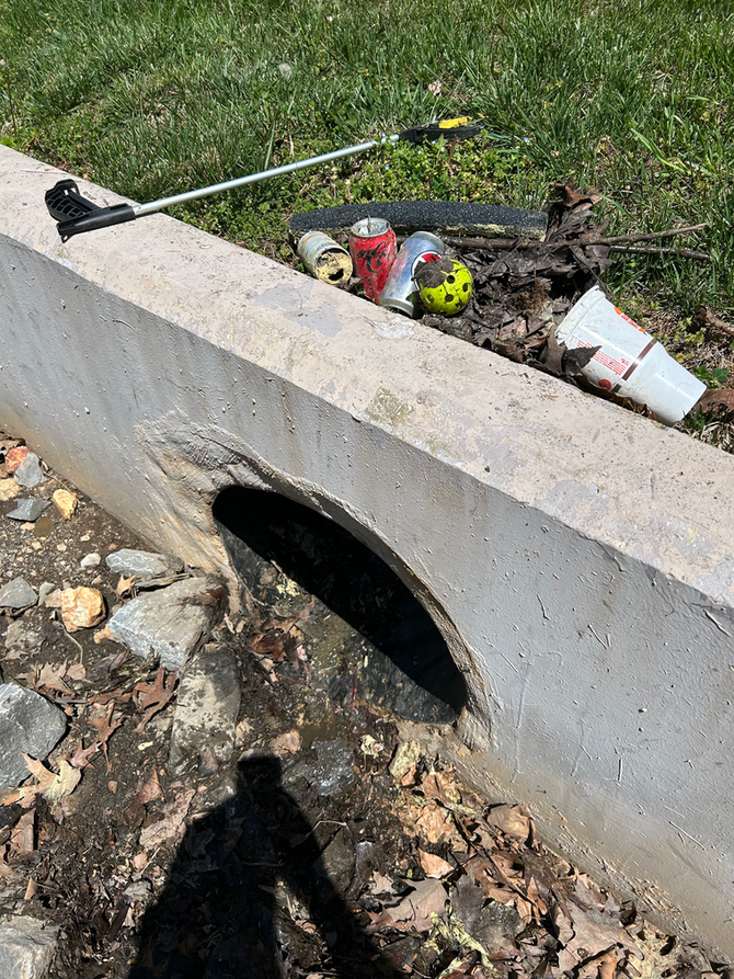 Community Cleanup