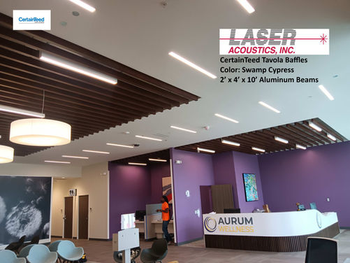 2022 LCH BAFFLES - WEB.jpg