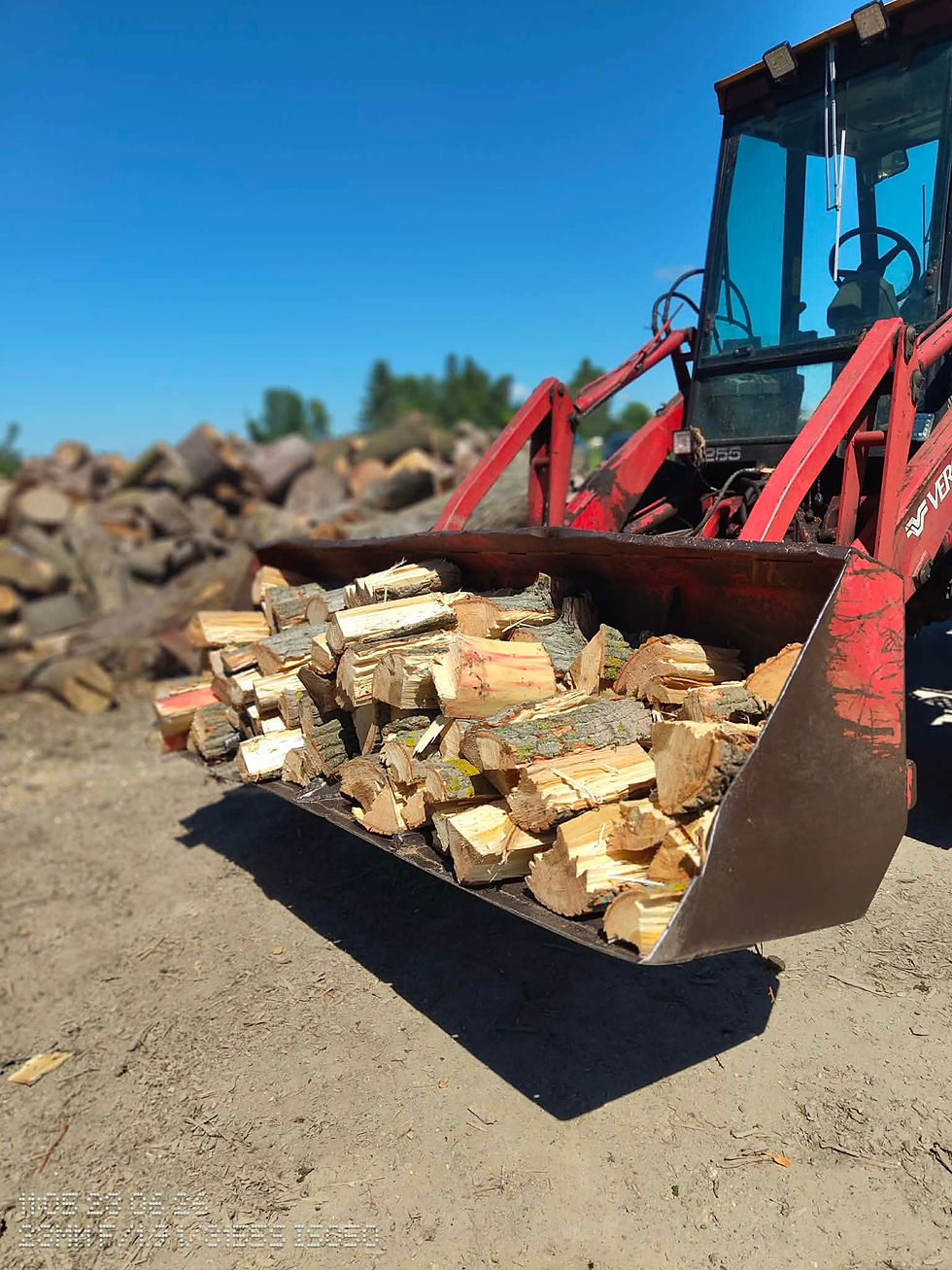 firewood1.jpg