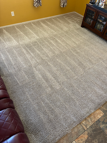 Carpet after 2.heic