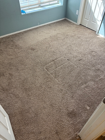 Carpet before 1.heic