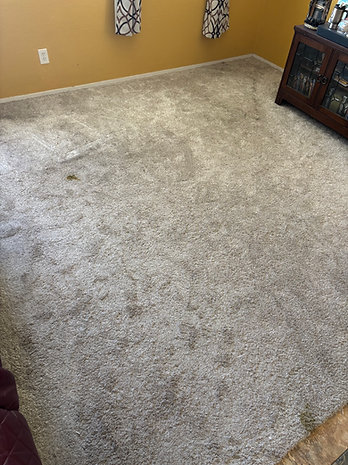 Carpet before 2.heic