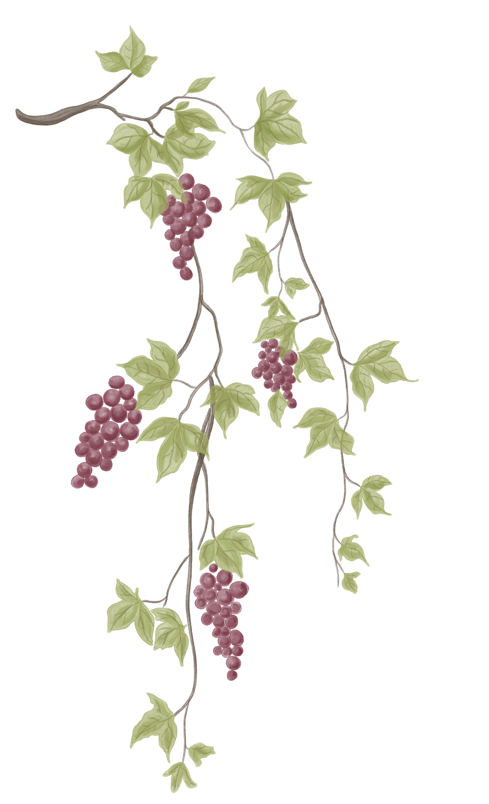 15.png