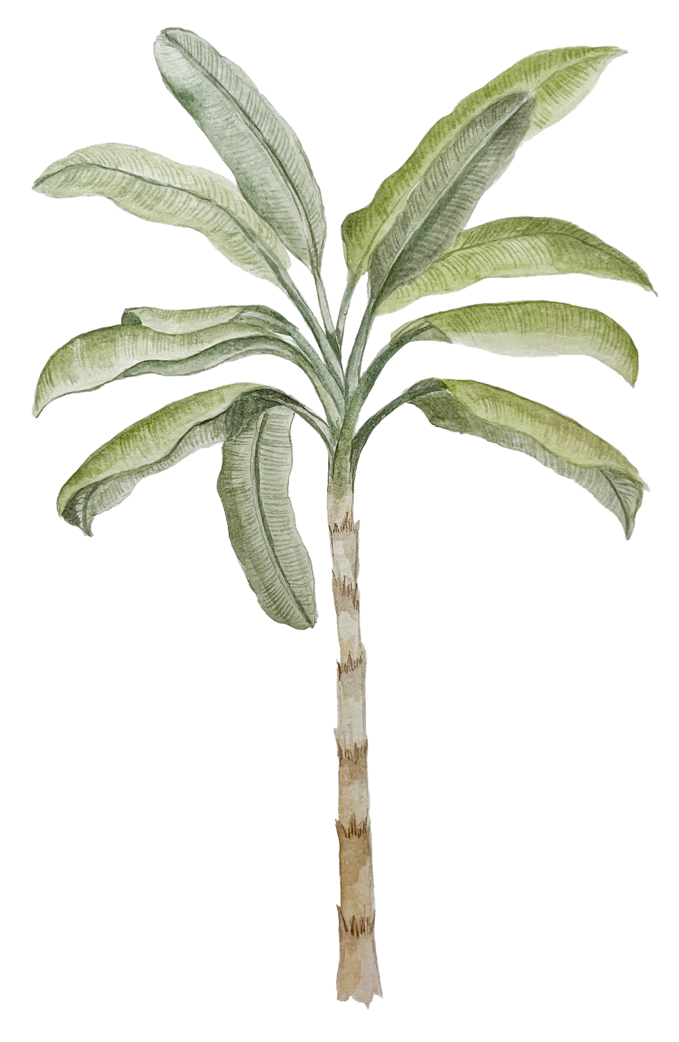 04.png
