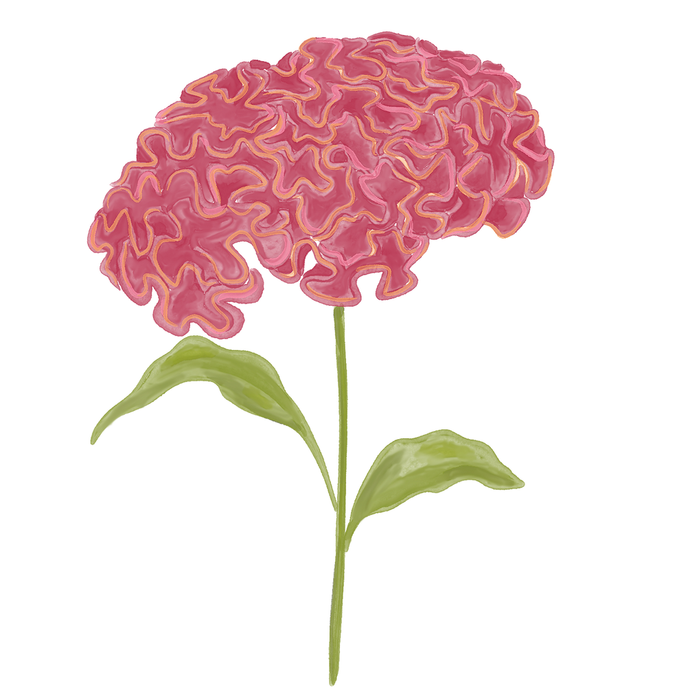 08.png