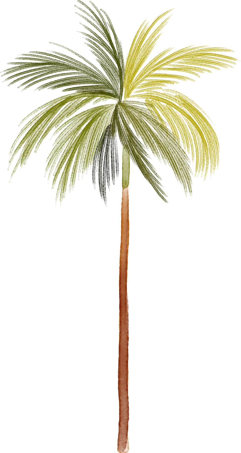 elementos12.png