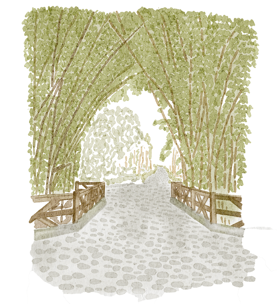 31.png