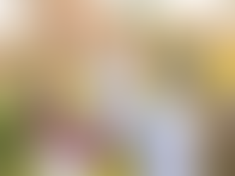 Top 5 Reasons to Book a Mini Session