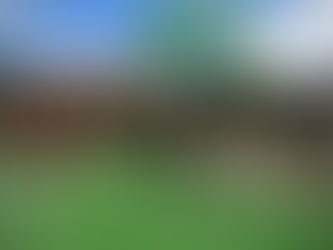 How Do I Choose Between Using Full Bed, Thin Veneer, and Screw-On Stone?