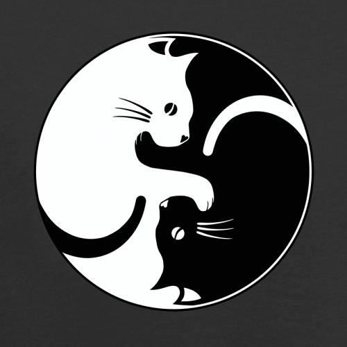 L'esprit du Yin Yoga (1)