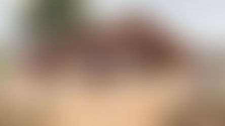 Una casa per la famiglia Jorejick