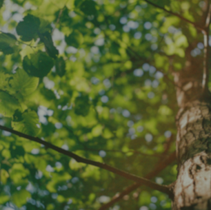 #OurVoice Reports: Amplifying Global Voices of Victims and Survivors of Childhood Sexual Violence