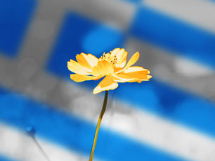 Experiences of 1,103 Greek-speaking Victims and Survivors of Child Sexual Abuse and Exploitation