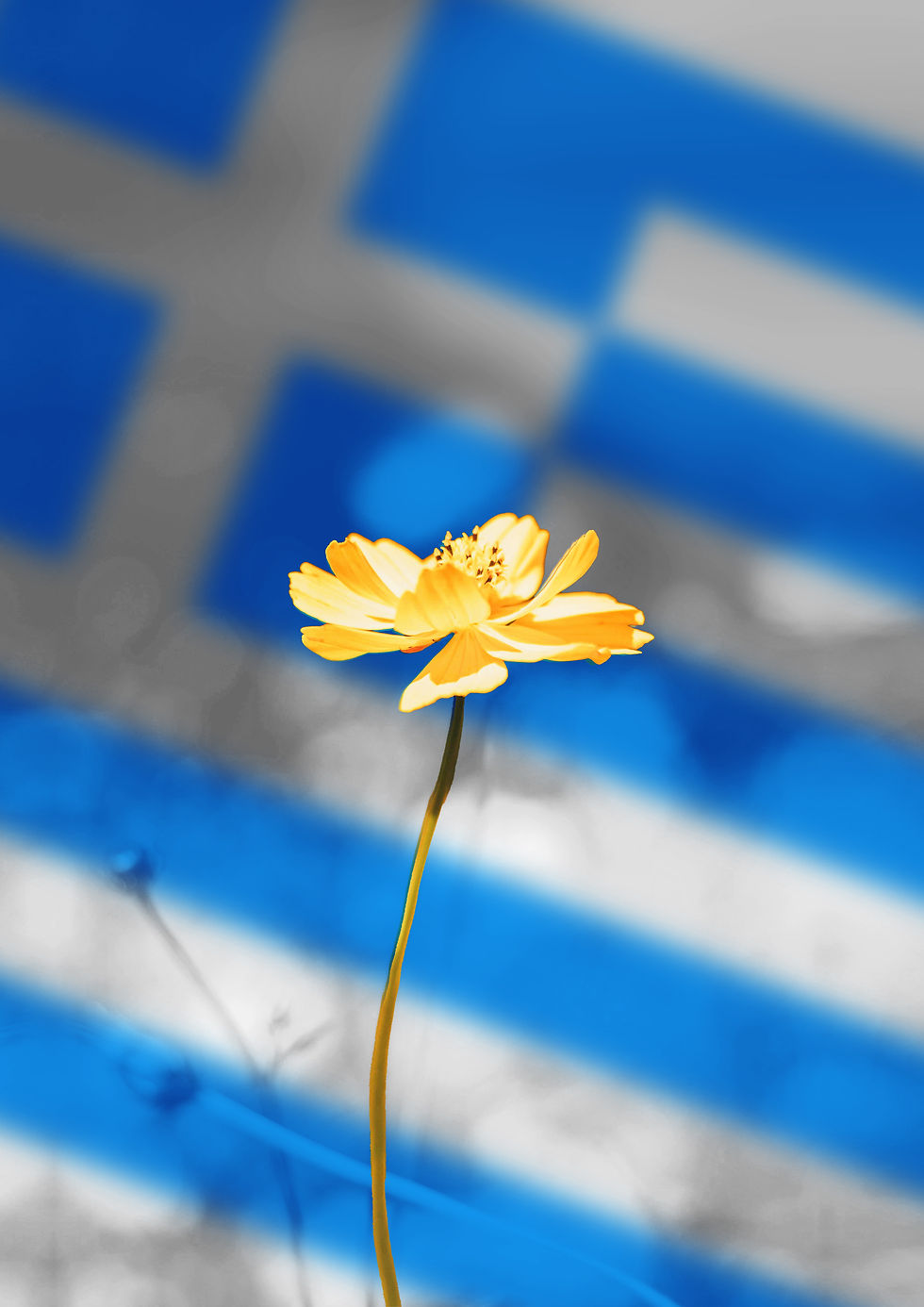 Experiences of 1,103 Greek-speaking Victims and Survivors of Child Sexual Abuse and Exploitation