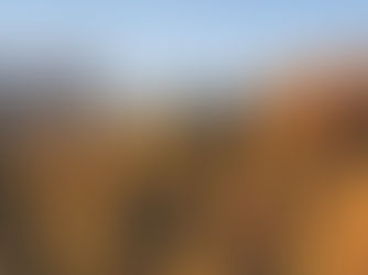 Our Voice Male Survivors Report