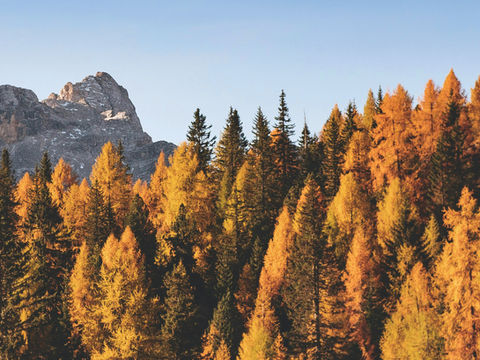 Our Voice Male Survivors: Experiences of 1,431 Victims and Survivors of Child Sexual Abuse and Exploitation