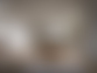 Prima Cucine: le ultime novità prodotto!