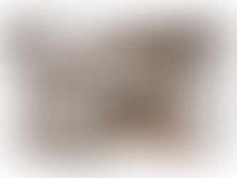 Una giornata con... Nardi Interni