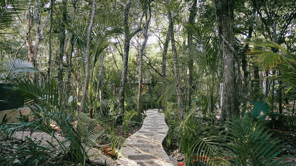 Move & Breath in Mexico