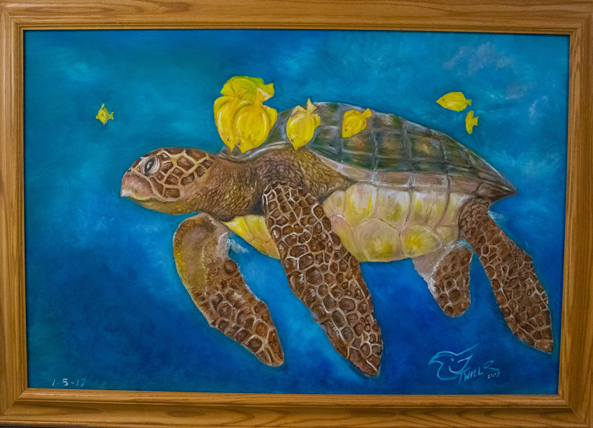 JT Wills "Turtle Cleansing" (Original)