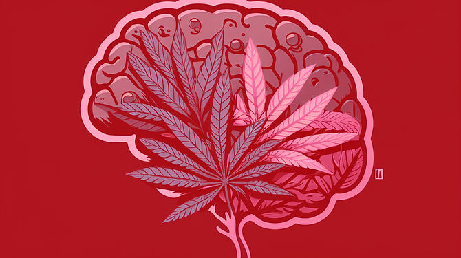 Cannabis