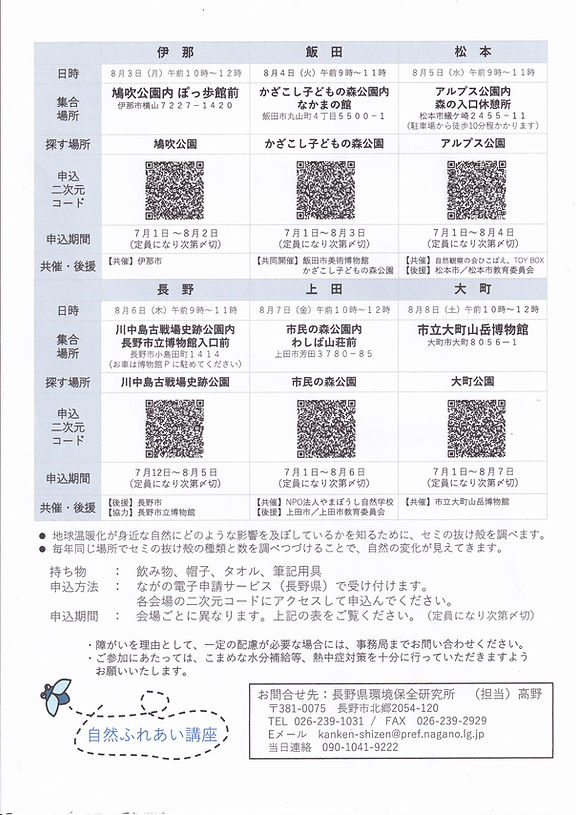 2026セミ抜け殻２.jpg