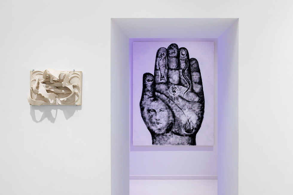 fot. Szymon Sokołowski