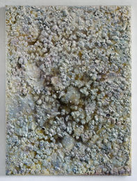 Marta Antoniak, "Fossils", 2022