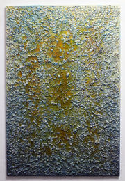 Marta Antoniak, "A01n17", z cyklu "Stalker", 2020