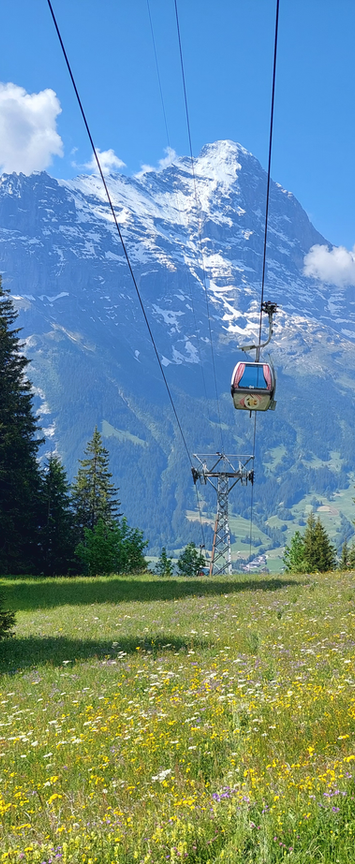 Firstbahn in summer