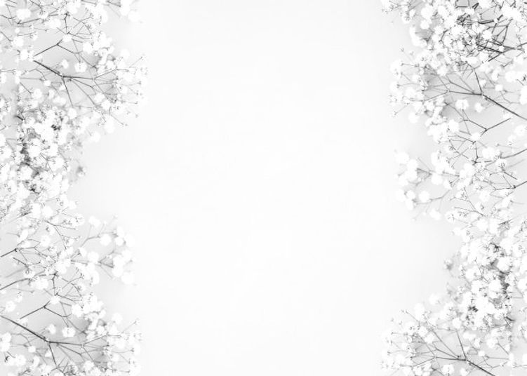 Homepage Background_edited.jpg
