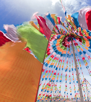 Colorful Banners
