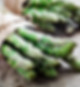 Asparagus