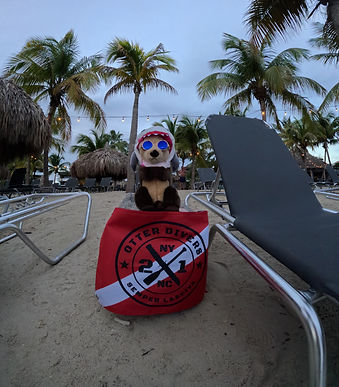 GOPR0024.JPG